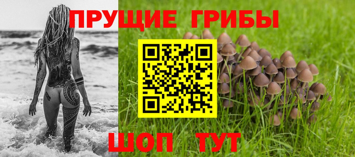 Псилоцибиновые грибы GOLDEN TEACHER  Вход с VPN  Великий Устюг 